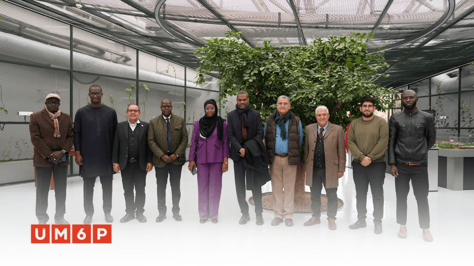 SENICO delegation